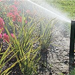 Lawn water sprinkler head